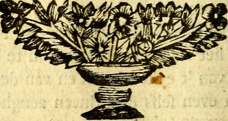 An illustration from Nuttelyck huys-boeck ... Benevens alle de overgebleven gedichten ... de lof-en rouw-gedichten en graft-schriften, 1769, leaf 149
