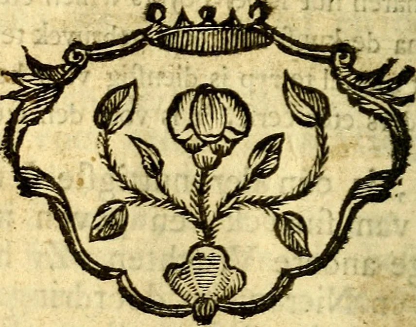 An illustration from Nuttelyck huys-boeck ... Benevens alle de overgebleven gedichten ... de lof-en rouw-gedichten en graft-schriften, 1769, leaf 155