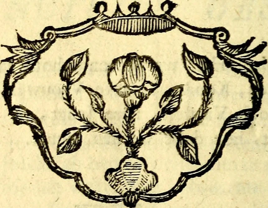 An illustration from Nuttelyck huys-boeck ... Benevens alle de overgebleven gedichten ... de lof-en rouw-gedichten en graft-schriften, 1769, leaf 295