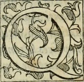 An illustration from ... Nvmerorvm mysteria. Opvs ... in quo mirus in primis, idemq; perpetuus arithmeticae Pythagoricae cum diuinae paginae numeris consensus, ex abditis plurimarum disciplinarum fontibus hausta, multiplici ratione probatur, 1591, leaf 348