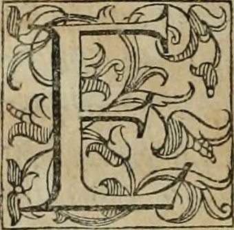 An illustration from ... Nvmerorvm mysteria. Opvs ... in quo mirus in primis, idemq; perpetuus arithmeticae Pythagoricae cum diuinae paginae numeris consensus, ex abditis plurimarum disciplinarum fontibus hausta, multiplici ratione probatur, 1591, leaf 653