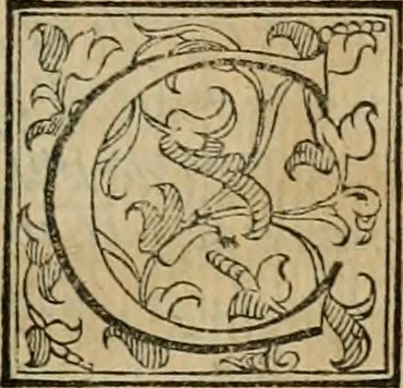 An illustration from ... Nvmerorvm mysteria. Opvs ... in quo mirus in primis, idemq; perpetuus arithmeticae Pythagoricae cum diuinae paginae numeris consensus, ex abditis plurimarum disciplinarum fontibus hausta, multiplici ratione probatur, 1591, leaf 722