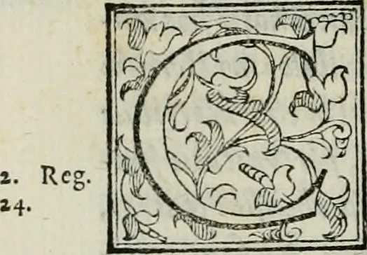 An illustration from ... Nvmerorvm mysteria. Opvs ... in quo mirus in primis, idemq; perpetuus arithmeticae Pythagoricae cum diuinae paginae numeris consensus, ex abditis plurimarum disciplinarum fontibus hausta, multiplici ratione probatur, 1591, leaf 767