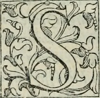 An illustration from ... Nvmerorvm mysteria. Opvs ... in quo mirus in primis, idemq; perpetuus arithmeticae Pythagoricae cum diuinae paginae numeris consensus, ex abditis plurimarum disciplinarum fontibus hausta, multiplici ratione probatur, 1591, leaf 767