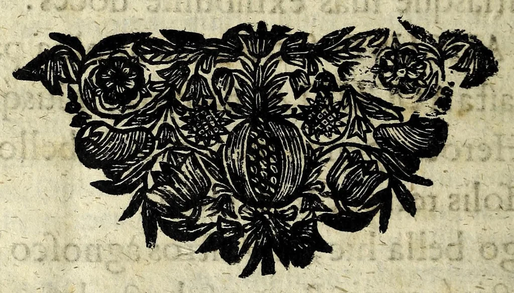 An illustration from Nvmmorvm vetervm in illvstranda imperatorum romanorum historia vsvs publico programmate historiarvm et antiqvitatis cultoribvs, 1684, leaf 26