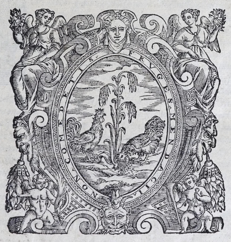 An illustration from Nvova inventione di fabricar fortezze, : di varie forme, in qvalvnqve sito di piano, di monte, in acqua, con diuersi disegni, et vn trattato del modo, che si hà da osseruare in esse, con le sve misvre, et ordine di levar le piante, tanto in fortezze reali, quanto non reali., 1598, leaf 5