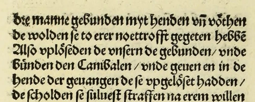 An illustration from Nye vnbekande Lande Unde eine nye Werldt in korter vorgangener Tyd gefunden, 1508, leaf 104