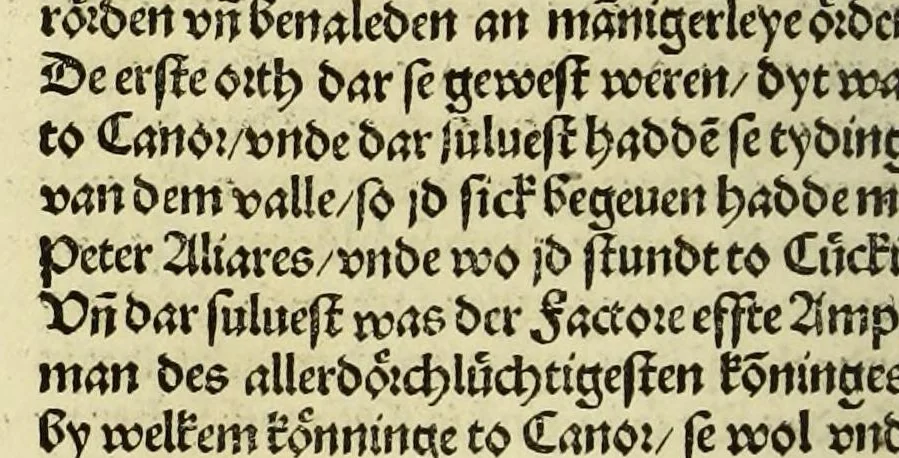 An illustration from Nye vnbekande Lande Unde eine nye Werldt in korter vorgangener Tyd gefunden, 1508, leaf 116