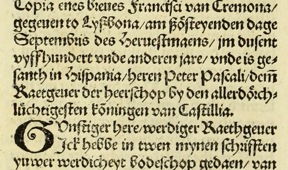 An illustration from Nye vnbekande Lande Unde eine nye Werldt in korter vorgangener Tyd gefunden, 1508, leaf 116