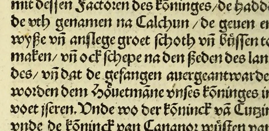 An illustration from Nye vnbekande Lande Unde eine nye Werldt in korter vorgangener Tyd gefunden, 1508, leaf 118