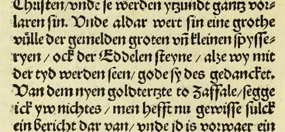 An illustration from Nye vnbekande Lande Unde eine nye Werldt in korter vorgangener Tyd gefunden, 1508, leaf 120