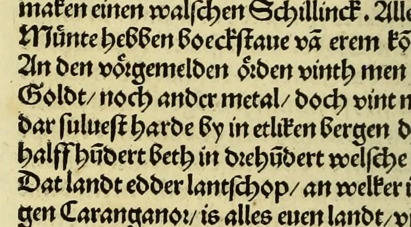 An illustration from Nye vnbekande Lande Unde eine nye Werldt in korter vorgangener Tyd gefunden, 1508, leaf 126