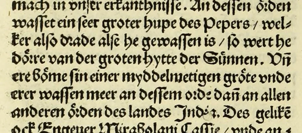 An illustration from Nye vnbekande Lande Unde eine nye Werldt in korter vorgangener Tyd gefunden, 1508, leaf 128