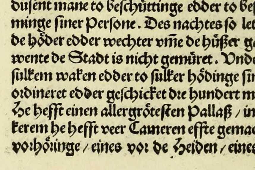 An illustration from Nye vnbekande Lande Unde eine nye Werldt in korter vorgangener Tyd gefunden, 1508, leaf 128