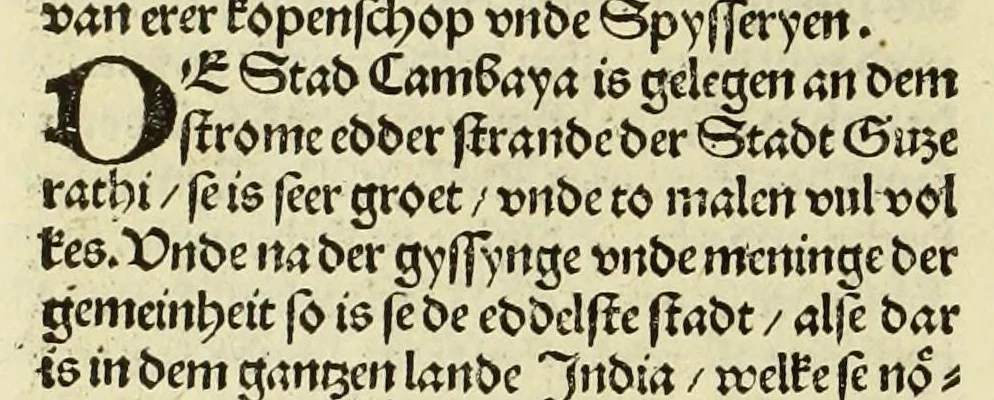 An illustration from Nye vnbekande Lande Unde eine nye Werldt in korter vorgangener Tyd gefunden, 1508, leaf 130
