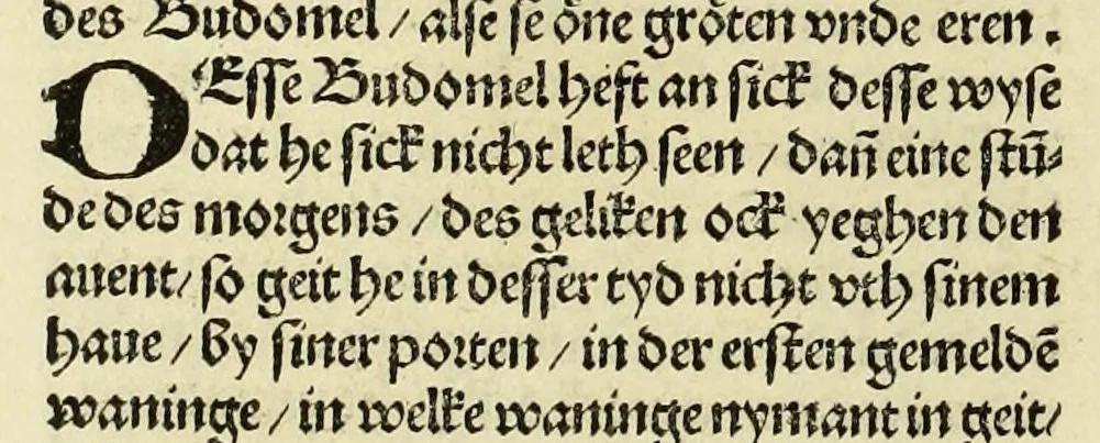 An illustration from Nye vnbekande Lande Unde eine nye Werldt in korter vorgangener Tyd gefunden, 1508, leaf 28