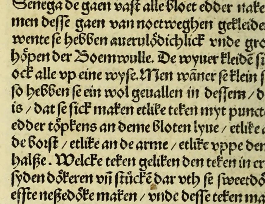 An illustration from Nye vnbekande Lande Unde eine nye Werldt in korter vorgangener Tyd gefunden, 1508, leaf 44