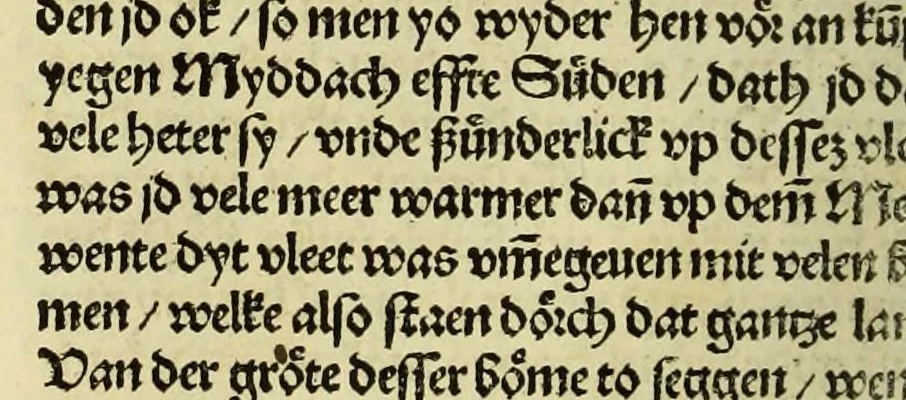 An illustration from Nye vnbekande Lande Unde eine nye Werldt in korter vorgangener Tyd gefunden, 1508, leaf 44