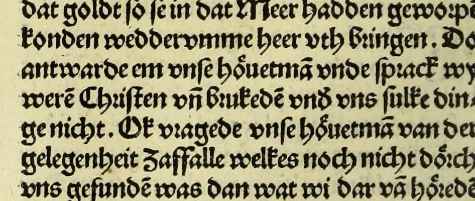 An illustration from Nye vnbekande Lande Unde eine nye Werldt in korter vorgangener Tyd gefunden, 1508, leaf 62