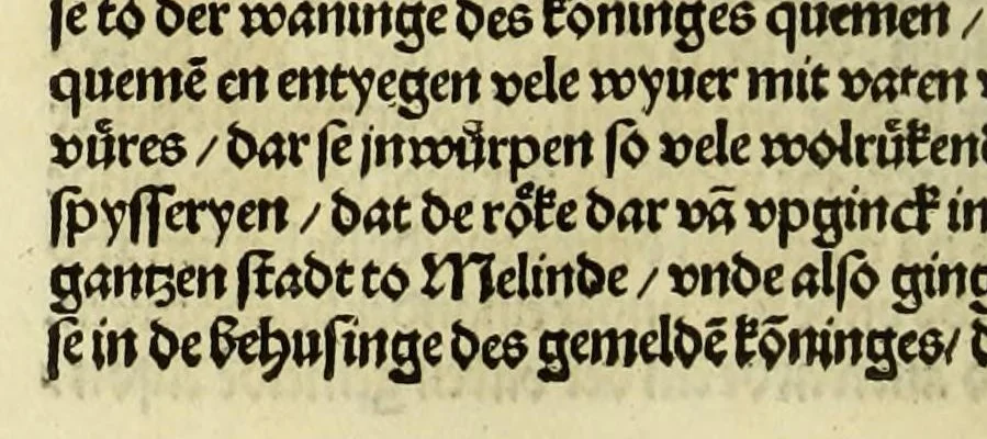 An illustration from Nye vnbekande Lande Unde eine nye Werldt in korter vorgangener Tyd gefunden, 1508, leaf 64