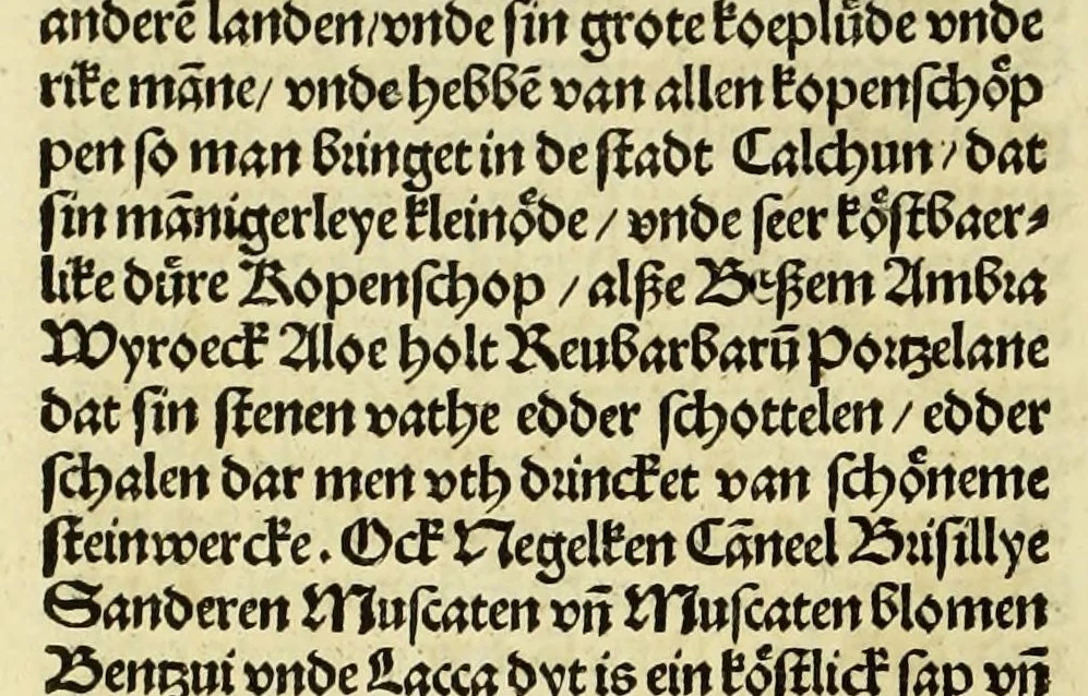 An illustration from Nye vnbekande Lande Unde eine nye Werldt in korter vorgangener Tyd gefunden, 1508, leaf 74