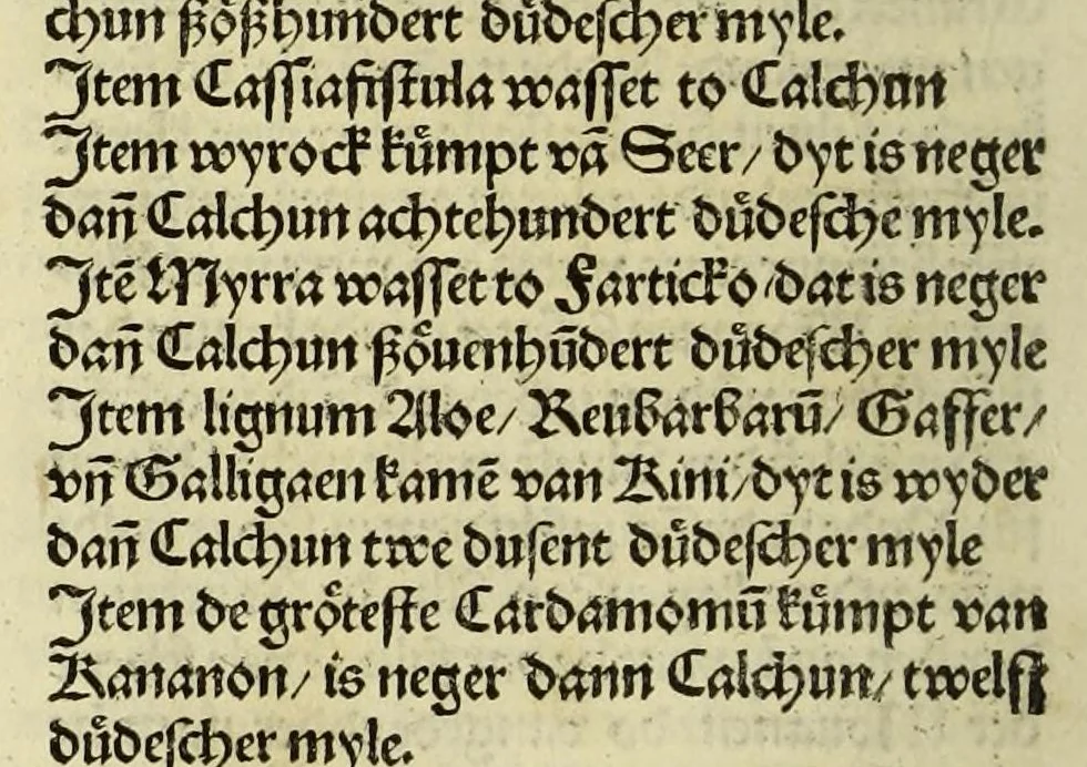 An illustration from Nye vnbekande Lande Unde eine nye Werldt in korter vorgangener Tyd gefunden, 1508, leaf 80