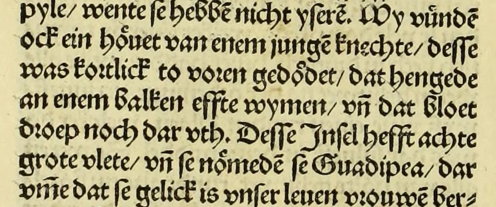 An illustration from Nye vnbekande Lande Unde eine nye Werldt in korter vorgangener Tyd gefunden, 1508, leaf 86