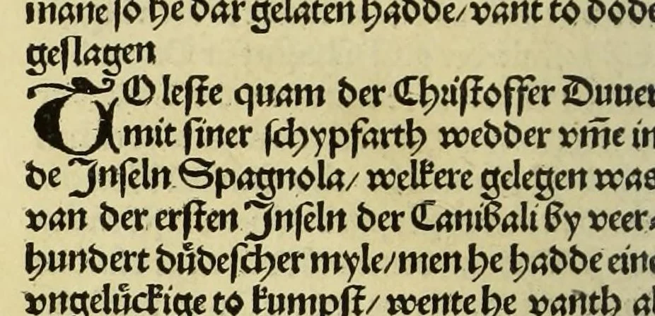 An illustration from Nye vnbekande Lande Unde eine nye Werldt in korter vorgangener Tyd gefunden, 1508, leaf 88