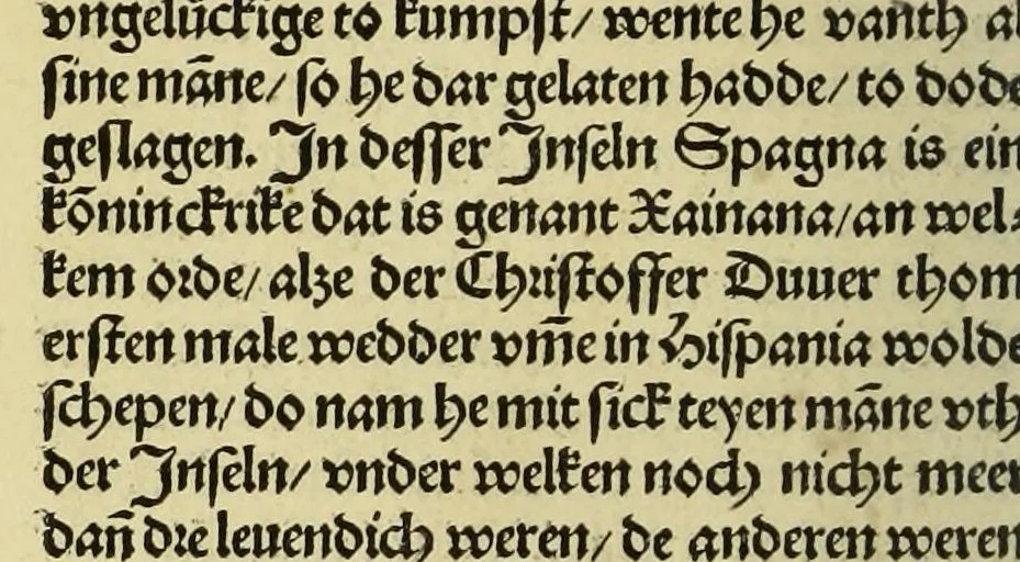 An illustration from Nye vnbekande Lande Unde eine nye Werldt in korter vorgangener Tyd gefunden, 1508, leaf 88