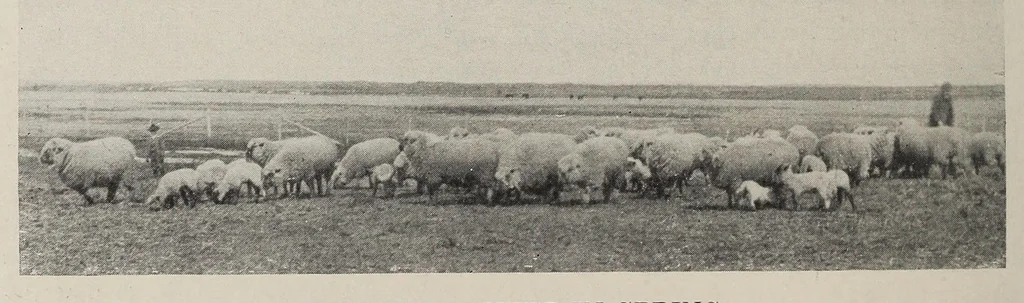 An illustration from O. A. C. Review Volume 22 Issue 7, April 1910, 1910, leaf 20
