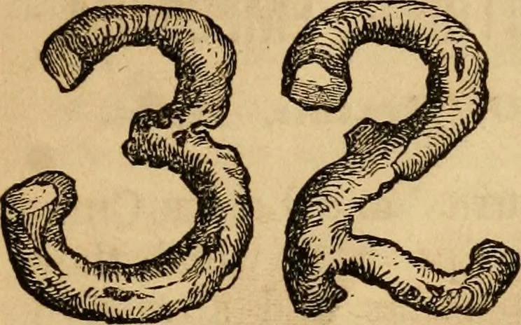 An illustration from Oak Hall pictorial., 1854, leaf 14
