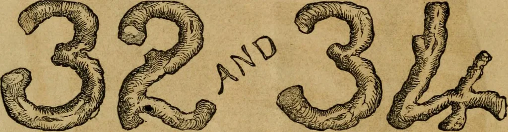 An illustration from Oak Hall pictorial., 1854, leaf 7