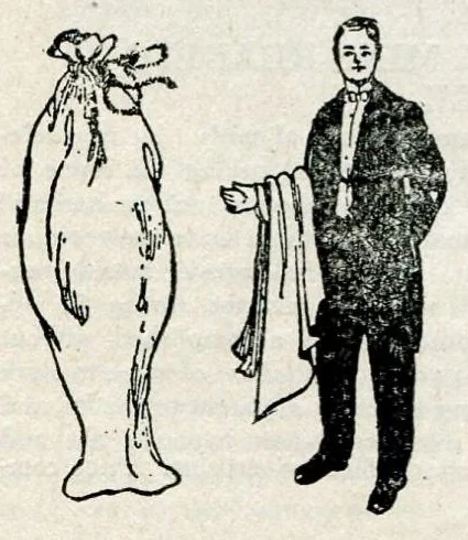 An illustration from Oaks Latest Tricks, Catalogue No. 22: Puzzles, Novelties, Sensational Escapes, and Illusions, 1913, leaf 53