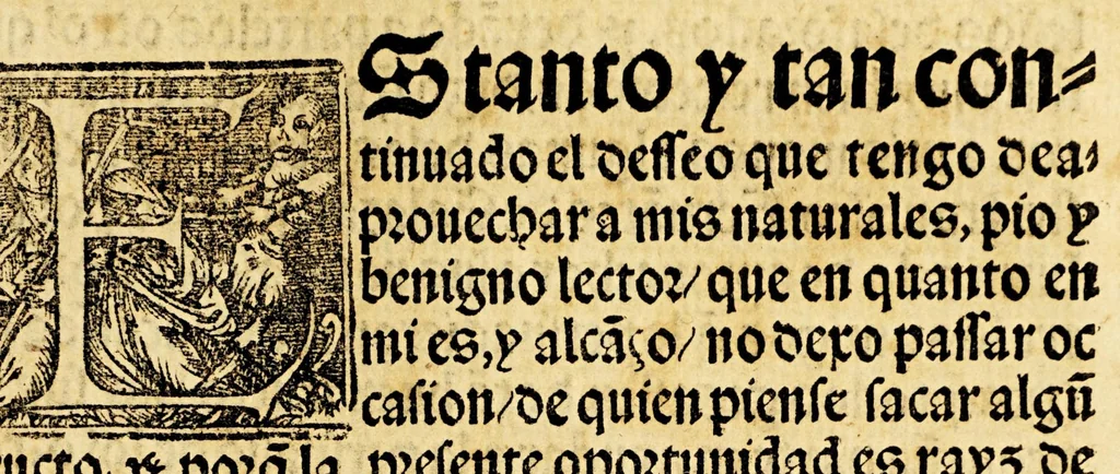 An illustration from Obras q[ue] Francisco Ceruantes de Salazar, ha hecho, glosado, y traduzido, 1546, leaf 205