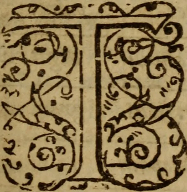 An illustration from Observations, naturall and morall : with a short treatise of the numbers, weights, and measures, used by the Hebrews, with the valuation of them according to the measures of the Greeks and Romans : for the clearing of sundry places of Scripture in which these weights and measures are set downe by way of allusion, 1633, leaf 138