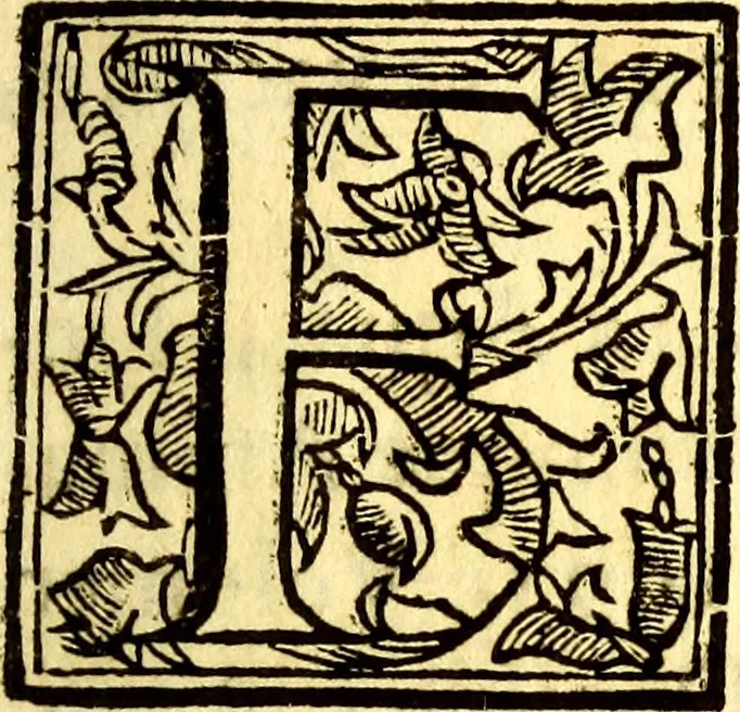An illustration from Obseruationes circa viuentia, quæ in rebus non viuentibus reperiuntur : Cum micrographia curiosa siue Rerum minutissimarum obseruationibus, quæ ope microscopij recognitæ ad viuum exprimuntur : his accesserunt aliquot animalium testaceorum icones non antea in lucem editæ : omnia curiosorum naturæ exploratorum vtilitati & iucunditati expressa & oblata, 1691, leaf 14