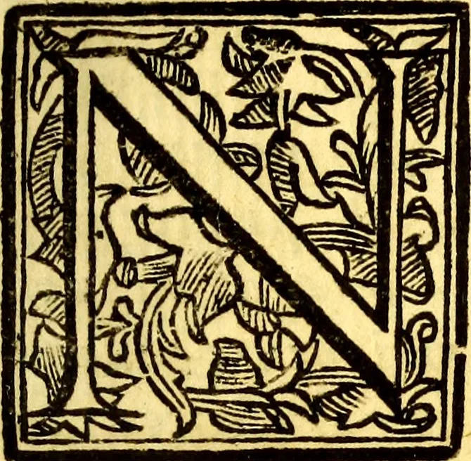 An illustration from Obseruationes circa viuentia, quæ in rebus non viuentibus reperiuntur : Cum micrographia curiosa siue Rerum minutissimarum obseruationibus, quæ ope microscopij recognitæ ad viuum exprimuntur : his accesserunt aliquot animalium testaceorum icones non antea in lucem editæ : omnia curiosorum naturæ exploratorum vtilitati & iucunditati expressa & oblata, 1691, leaf 24