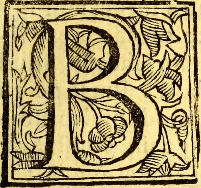 An illustration from Obseruationes circa viuentia, quæ in rebus non viuentibus reperiuntur : Cum micrographia curiosa siue Rerum minutissimarum obseruationibus, quæ ope microscopij recognitæ ad viuum exprimuntur : his accesserunt aliquot animalium testaceorum icones non antea in lucem editæ : omnia curiosorum naturæ exploratorum vtilitati & iucunditati expressa & oblata, 1691, leaf 32