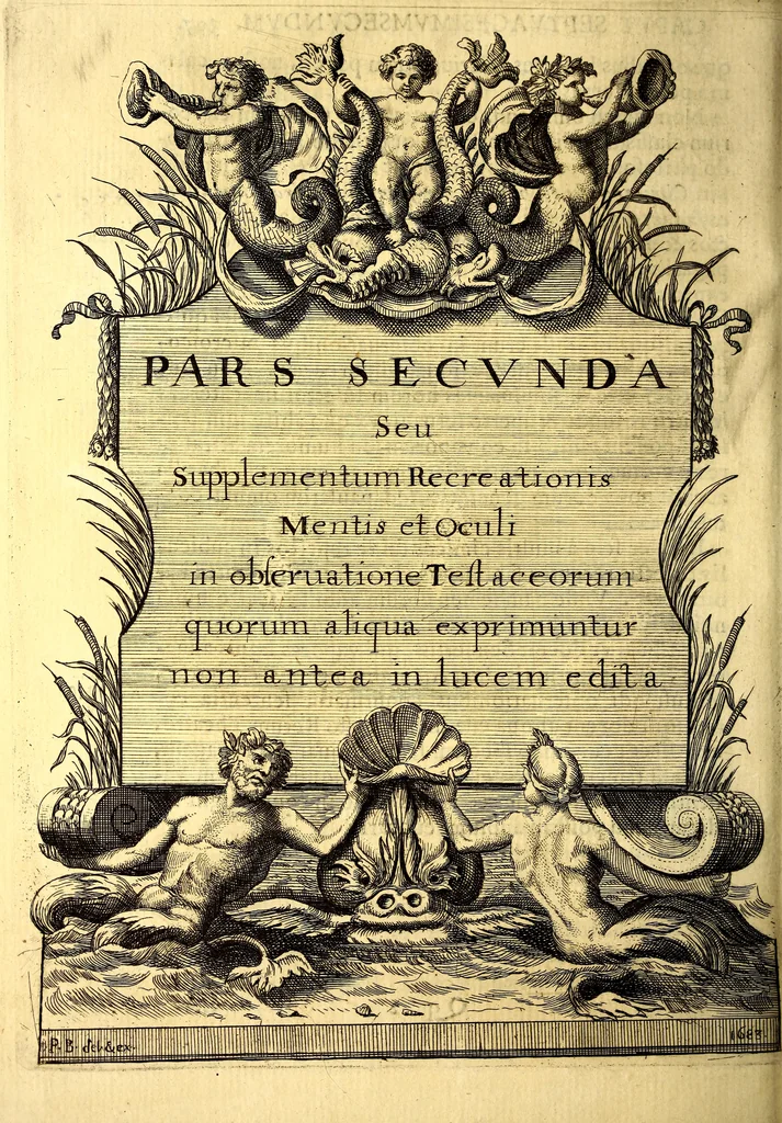An illustration from Obseruationes circa viuentia, quæ in rebus non viuentibus reperiuntur : Cum micrographia curiosa siue Rerum minutissimarum obseruationibus, quæ ope microscopij recognitæ ad viuum exprimuntur : his accesserunt aliquot animalium testaceorum icones non antea in lucem editæ : omnia curiosorum naturæ exploratorum vtilitati & iucunditati expressa & oblata, 1691, leaf 371