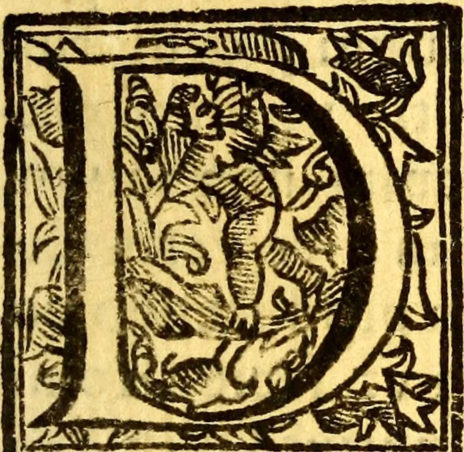An illustration from Obseruationes circa viuentia, quæ in rebus non viuentibus reperiuntur : Cum micrographia curiosa siue Rerum minutissimarum obseruationibus, quæ ope microscopij recognitæ ad viuum exprimuntur : his accesserunt aliquot animalium testaceorum icones non antea in lucem editæ : omnia curiosorum naturæ exploratorum vtilitati & iucunditati expressa & oblata, 1691, leaf 372
