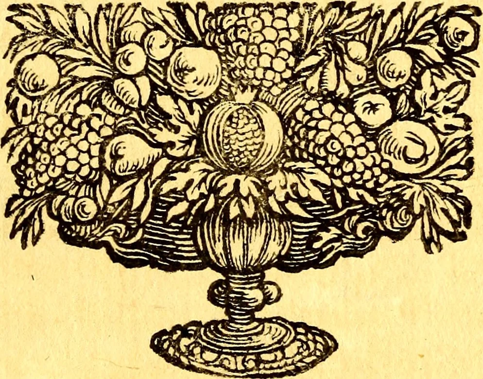 An illustration from Obseruationes circa viuentia, quæ in rebus non viuentibus reperiuntur : Cum micrographia curiosa siue Rerum minutissimarum obseruationibus, quæ ope microscopij recognitæ ad viuum exprimuntur : his accesserunt aliquot animalium testaceorum icones non antea in lucem editæ : omnia curiosorum naturæ exploratorum vtilitati & iucunditati expressa & oblata, 1691, leaf 418