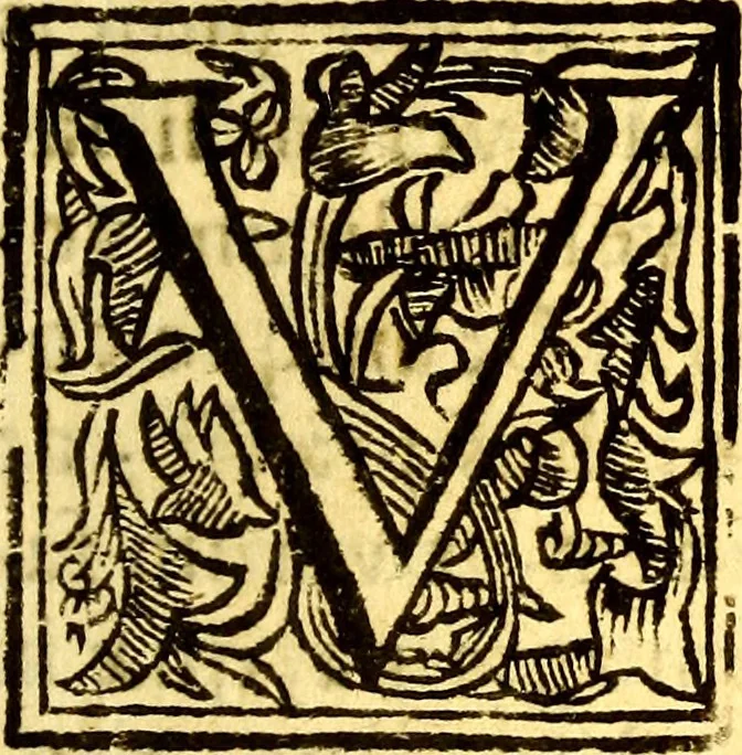 An illustration from Obseruationes circa viuentia, quæ in rebus non viuentibus reperiuntur : Cum micrographia curiosa siue Rerum minutissimarum obseruationibus, quæ ope microscopij recognitæ ad viuum exprimuntur : his accesserunt aliquot animalium testaceorum icones non antea in lucem editæ : omnia curiosorum naturæ exploratorum vtilitati & iucunditati expressa & oblata, 1691, leaf 428