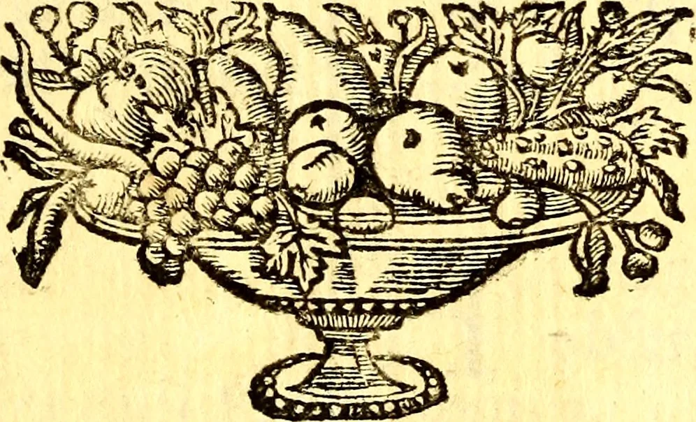 An illustration from Obseruationes circa viuentia, quæ in rebus non viuentibus reperiuntur : Cum micrographia curiosa siue Rerum minutissimarum obseruationibus, quæ ope microscopij recognitæ ad viuum exprimuntur : his accesserunt aliquot animalium testaceorum icones non antea in lucem editæ : omnia curiosorum naturæ exploratorum vtilitati & iucunditati expressa & oblata, 1691, leaf 540