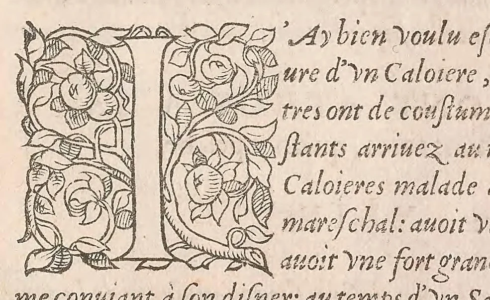 An illustration from Les obseruations de plusieurs singularitez et choses memorables : trouuées en Grece, Asie, Judée, Egypte, Arabie ... en trois livres, 1554, leaf 113