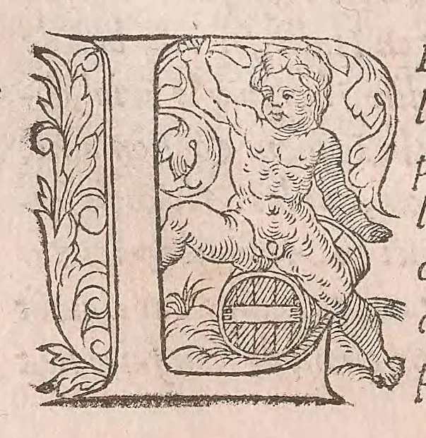 An illustration from Les obseruations de plusieurs singularitez et choses memorables : trouuées en Grece, Asie, Judée, Egypte, Arabie ... en trois livres, 1554, leaf 156