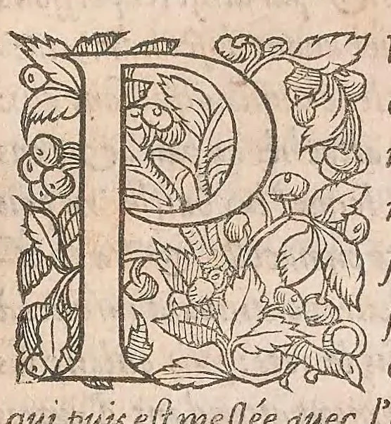 An illustration from Les obseruations de plusieurs singularitez et choses memorables : trouuées en Grece, Asie, Judée, Egypte, Arabie ... en trois livres, 1554, leaf 165