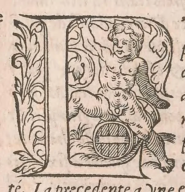 An illustration from Les obseruations de plusieurs singularitez et choses memorables : trouuées en Grece, Asie, Judée, Egypte, Arabie ... en trois livres, 1554, leaf 252