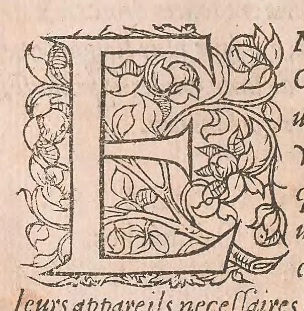 An illustration from Les obseruations de plusieurs singularitez et choses memorables : trouuées en Grece, Asie, Judée, Egypte, Arabie ... en trois livres, 1554, leaf 264