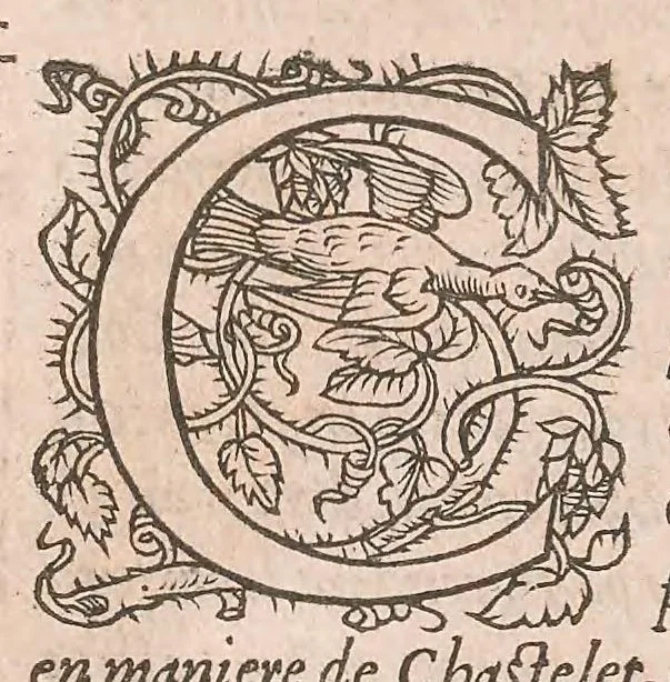An illustration from Les obseruations de plusieurs singularitez et choses memorables : trouuées en Grece, Asie, Judée, Egypte, Arabie ... en trois livres, 1554, leaf 268