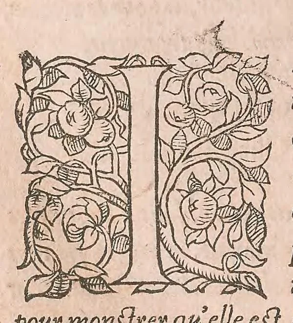 An illustration from Les obseruations de plusieurs singularitez et choses memorables : trouuées en Grece, Asie, Judée, Egypte, Arabie ... en trois livres, 1554, leaf 272